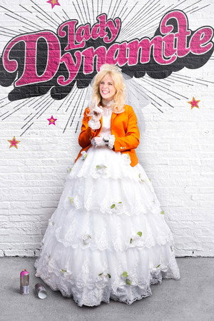 Lady Dynamite poszter