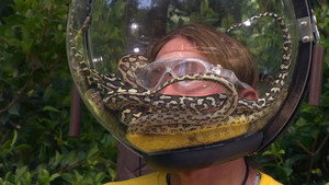 I'm a Celebrity...Get Me Out of Here! 19. évad Ep.3 3. epizód