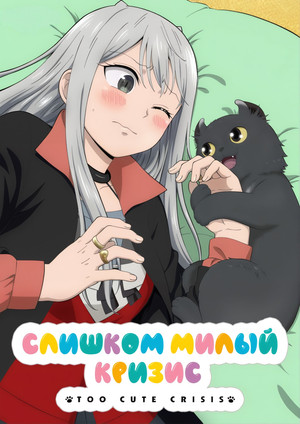 カワイスギクライシス poszter