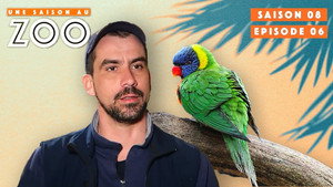 Une saison au zoo 8. évad Ep.6 6. epizód
