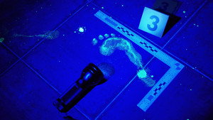 Forensic Files II kép