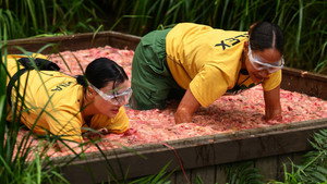 I'm a Celebrity...Get Me Out of Here! 25. évad Ep.7 7. epizód