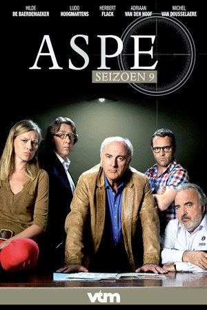 Aspe 9. évad (2013-01-30) poszter