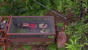 I'm a Celebrity...Get Me Out of Here! 15. évad Ep.19 19. epizód