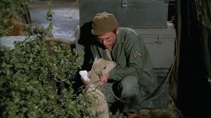 M*A*S*H 3. évad Ep.14 14. epizód