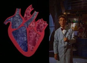 Bill Nye the Science Guy 4. évad Ep.16 16. epizód