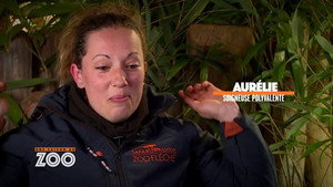 Une saison au zoo 5. évad Ep.34 34. epizód