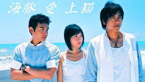 海豚爱上猫 kép