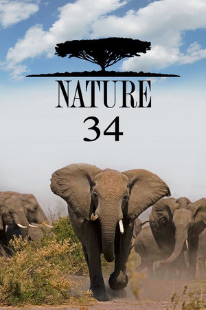 Nature 34. évad (2015-09-23) poszter