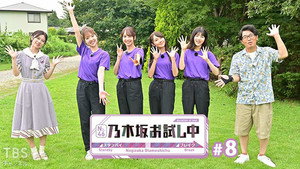 乃木坂お試し中 1. évad Ep.8 8. epizód