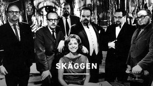 Skäggen kép