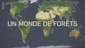 Le Dessous des cartes 31. évad Ep.13 13. epizód