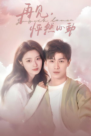 再见，怦然心动 poszter