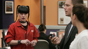 NCIS: Tengerészeti helyszínelők 5. évad Ep.9 Túlélés