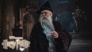 Harry Potter kép