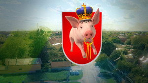 Mangalița kép