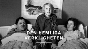 Den hemliga verkligheten kép