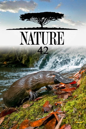 Nature 42. évad (2023-10-18) poszter
