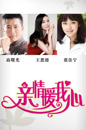 亲情暖我心 1. évad (2015-03-28) poszter