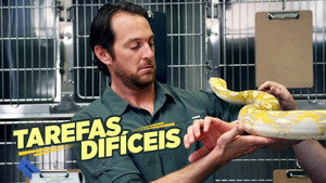 Jobs That Bite! kép