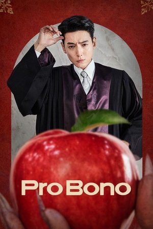 Pro Bono poszter