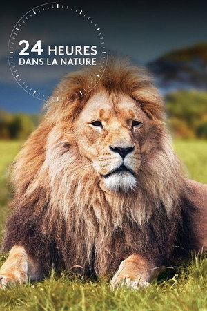 Wild 24 poszter