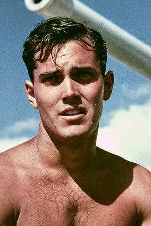 Jeffrey Hunter profil kép
