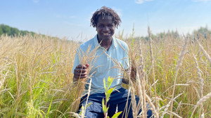 Manger kép