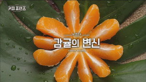 커피 프렌즈 1. évad Ep.2 2. epizód