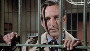 Hill Street Blues kép