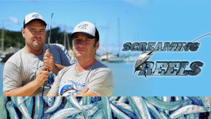 Screaming Reels kép