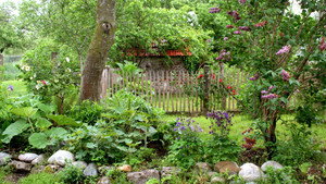 Geheimnisvoller Garten kép