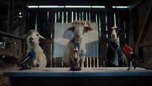 Sheep kép