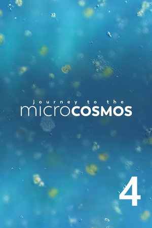 Journey to the Microcosmos 4. évad (2021-02-22) poszter