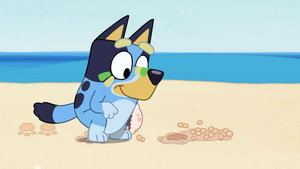 Bluey Compilations 1. évad Ep.5 5. epizód