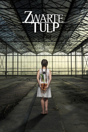 Fekete tulipán 1. évad (2015-03-30) poszter