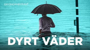 Ekonomibyrån 8. évad Ep.2 2. epizód