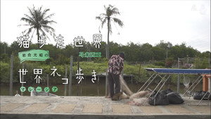 岩合光昭の世界ネコ歩き 1. évad Ep.25 25. epizód