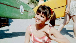 Gidget kép