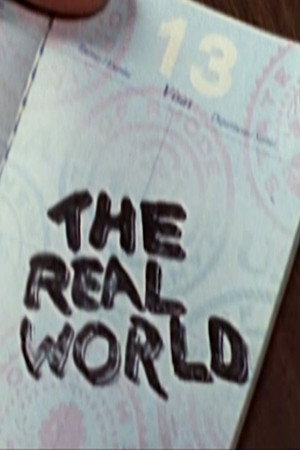 The Real World 13. évad (2003-06-03) poszter