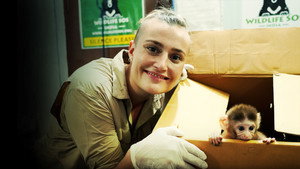 Jungle Animal Rescue kép