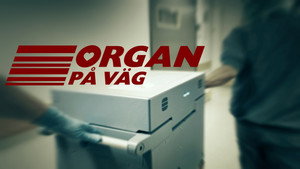 Vetenskapens värld 45. évad Ep.26 26. epizód