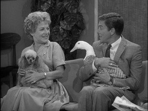 The Dick Van Dyke Show 2. évad Ep.1 1. epizód