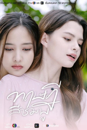 ทฤษฎีสีชมพู poszter