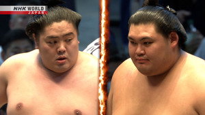 GRAND SUMO Highlights 30. évad Ep.12 12. epizód