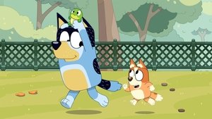 Bluey 3. évad Ep.30 Teknőcke