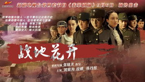 战地花开 kép