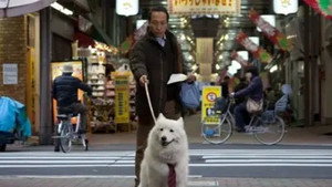 犬飼さんちの犬 1. évad Ep.7 7. epizód