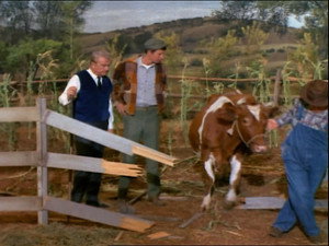 Green Acres 5. évad Ep.19 19. epizód