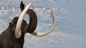 Wild New World kép
